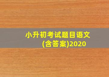 小升初考试题目语文 (含答案)2020